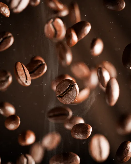 cafe — 3D food render