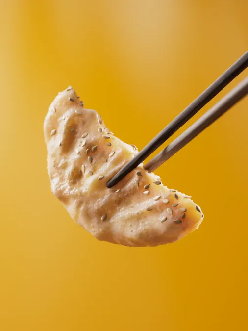 gyoza — 3D food render