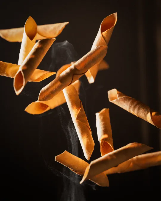 pasta — 3D food render